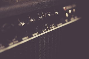 生活之韵，探索歌曲视频播放与下载的艺术