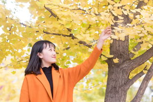 生活，汪国真诗歌朗诵中的生活哲思